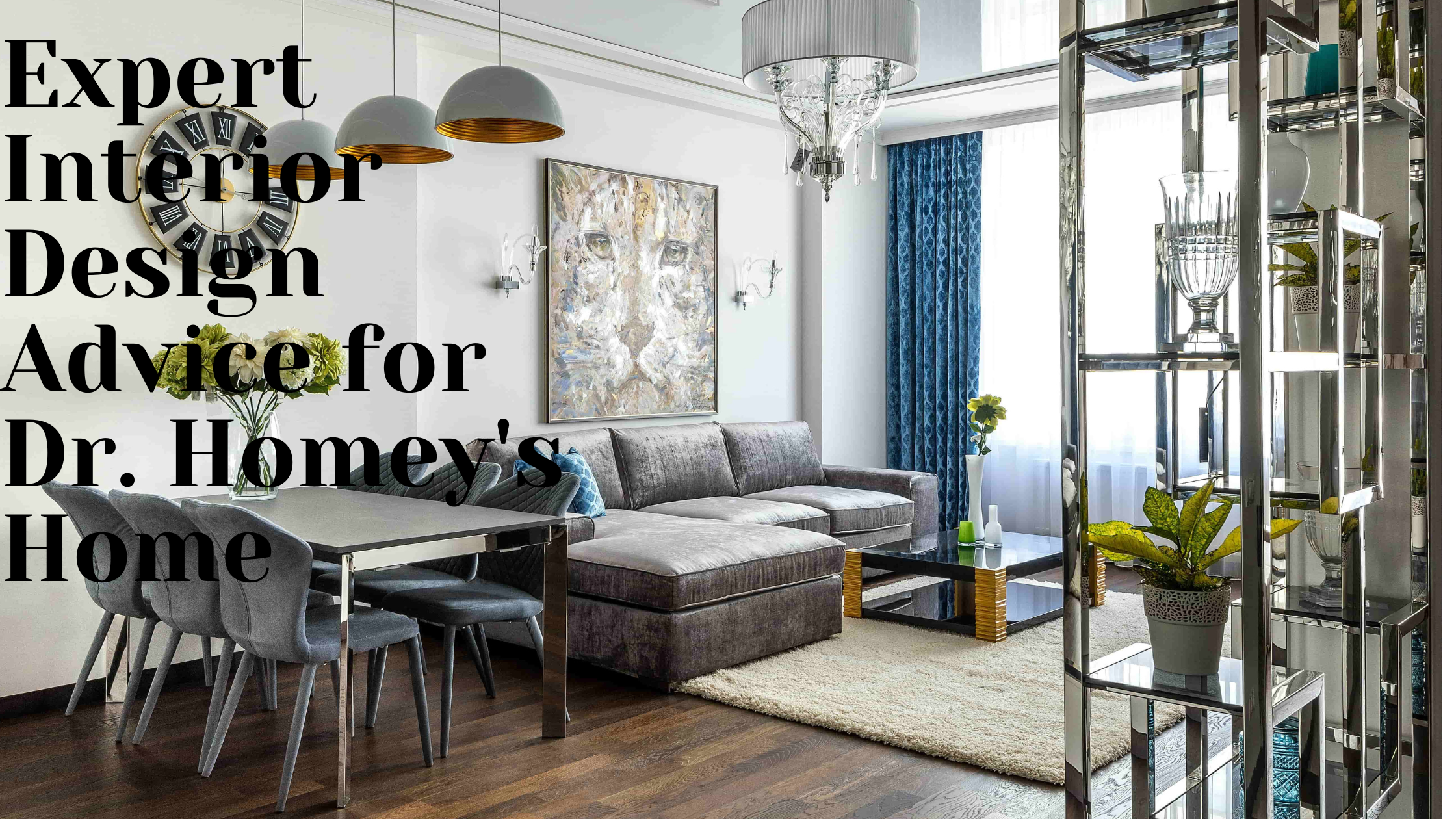 Expert Interior Design Advice for Dr. Homey's Home